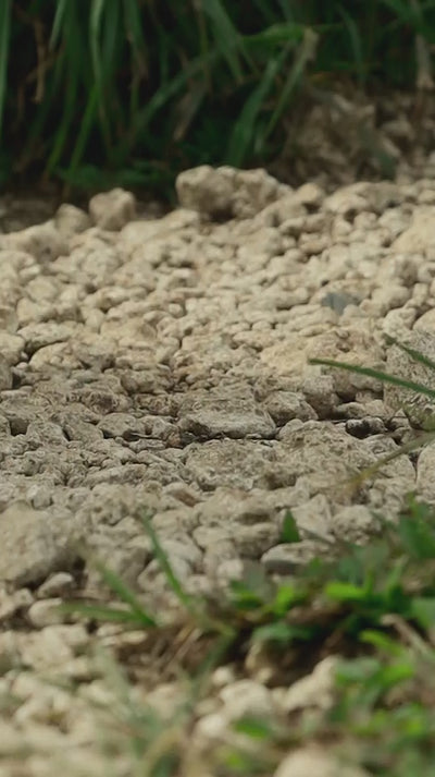 Statement Tee – Pahuway Shirt