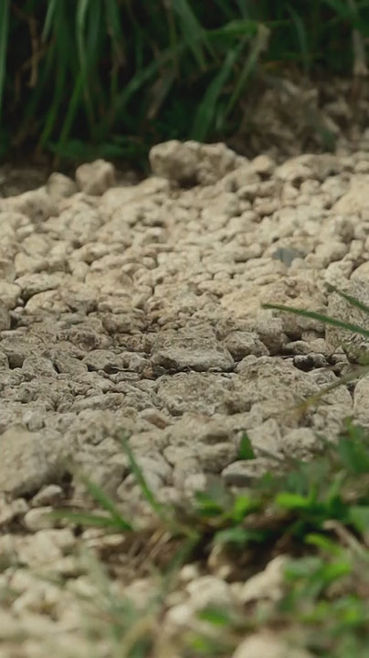 Statement Tee – Pahuway Shirt